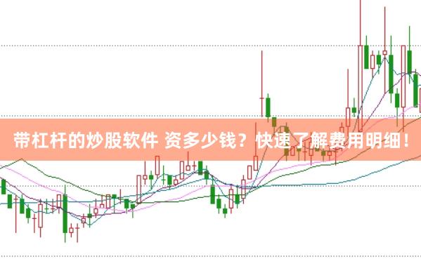 带杠杆的炒股软件 资多少钱？快速了解费用明细！