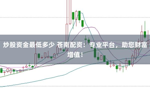 炒股资金最低多少 苍南配资：专业平台，助您财富增值！