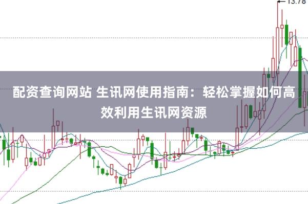 配资查询网站 生讯网使用指南：轻松掌握如何高效利用生讯网资源