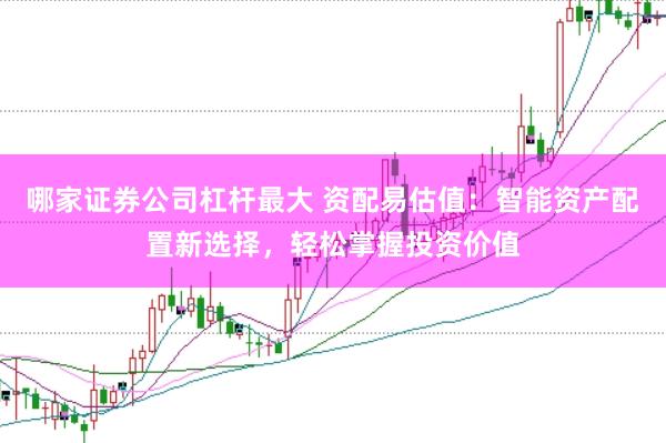 哪家证券公司杠杆最大 资配易估值：智能资产配置新选择，轻松掌握投资价值