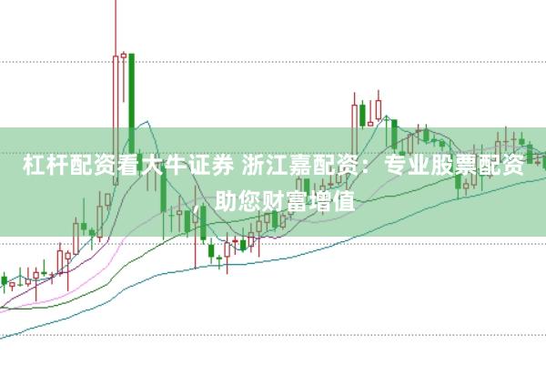 杠杆配资看大牛证券 浙江嘉配资：专业股票配资，助您财富增值