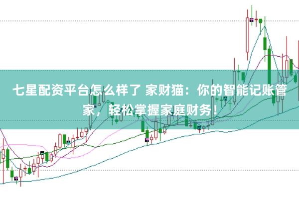 七星配资平台怎么样了 家财猫：你的智能记账管家，轻松掌握家庭财务！