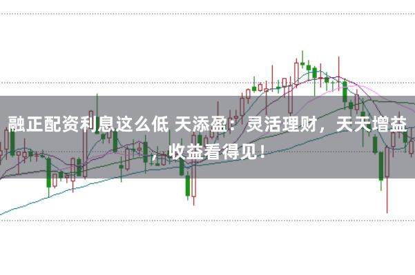 融正配资利息这么低 天添盈：灵活理财，天天增益，收益看得见！