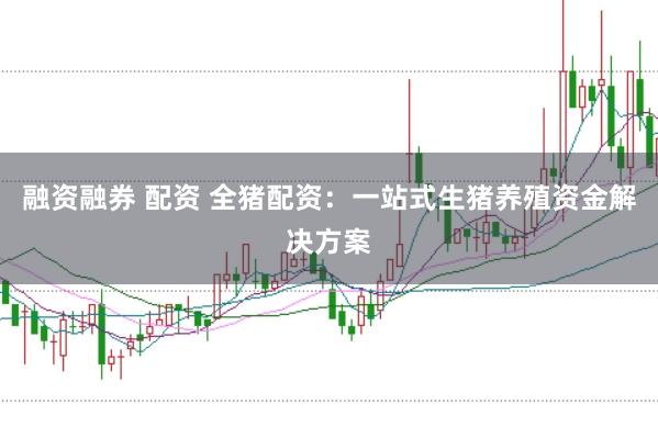 融资融券 配资 全猪配资：一站式生猪养殖资金解决方案