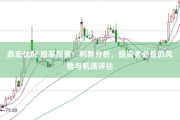 鼎宏优配 股莘配资：利弊分析，投资者必备的风险与机遇评估