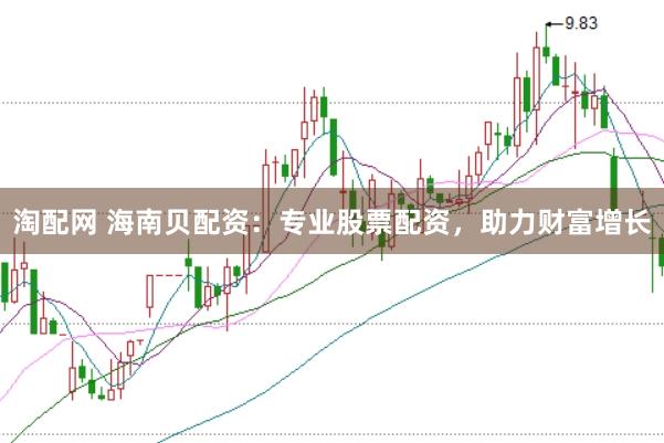 淘配网 海南贝配资：专业股票配资，助力财富增长