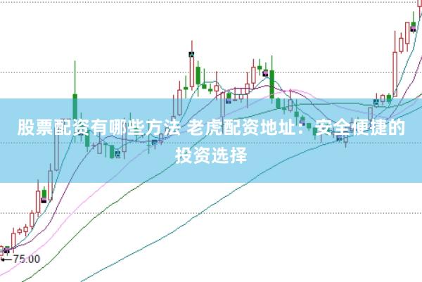 股票配资有哪些方法 老虎配资地址：安全便捷的投资选择