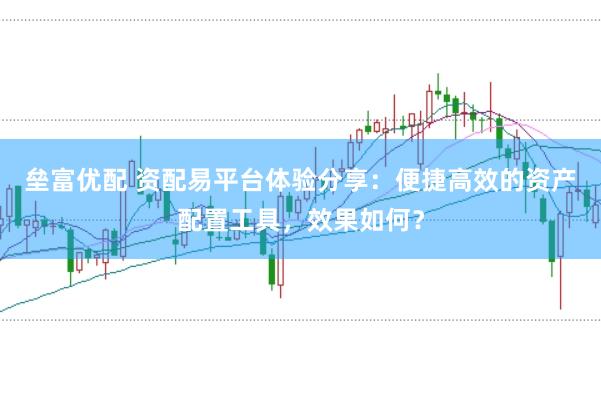 垒富优配 资配易平台体验分享：便捷高效的资产配置工具，效果如何？