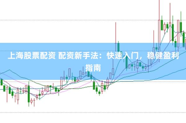 上海股票配资 配资新手法：快速入门，稳健盈利指南