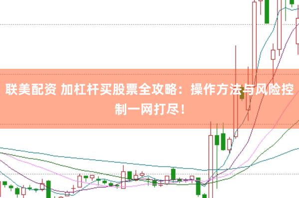 联美配资 加杠杆买股票全攻略:操作方法与风险控制一网打尽!