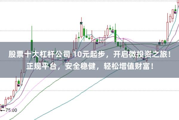 股票十大杠杆公司 10元起步，开启微投资之旅！正规平台，安全稳健，轻松增值财富！