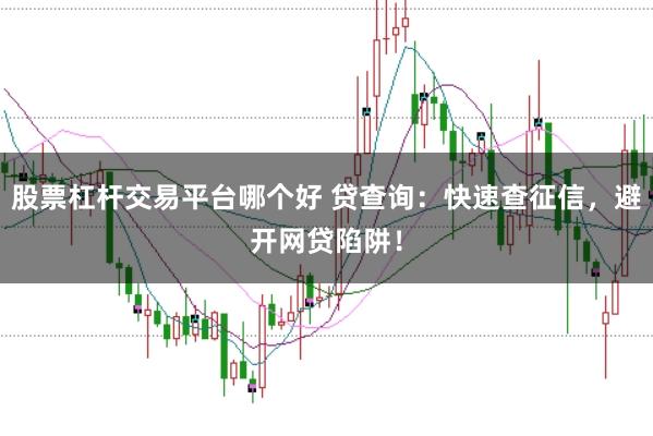 股票杠杆交易平台哪个好 贷查询：快速查征信，避开网贷陷阱！