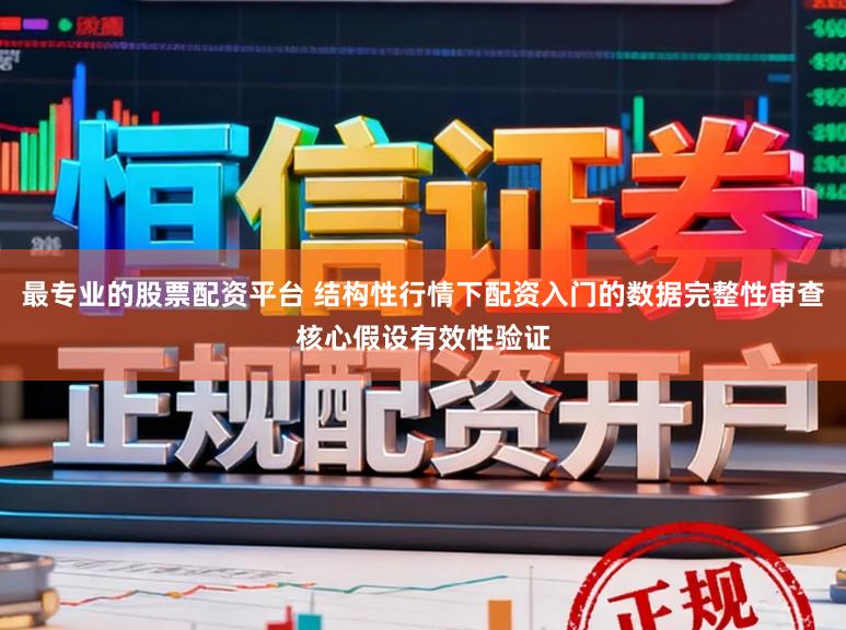最专业的股票配资平台 结构性行情下配资入门的数据完整性审查核心假设有效性验证