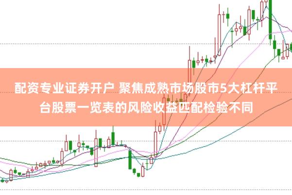 配资专业证券开户 聚焦成熟市场股市5大杠杆平台股票一览表的风险收益匹配检验不同