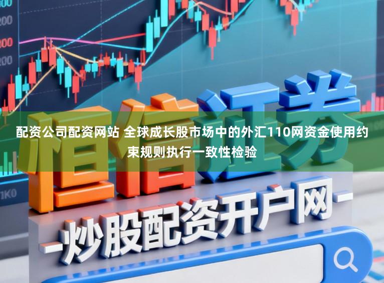 配资公司配资网站 全球成长股市场中的外汇110网资金使用约束规则执行一致性检验